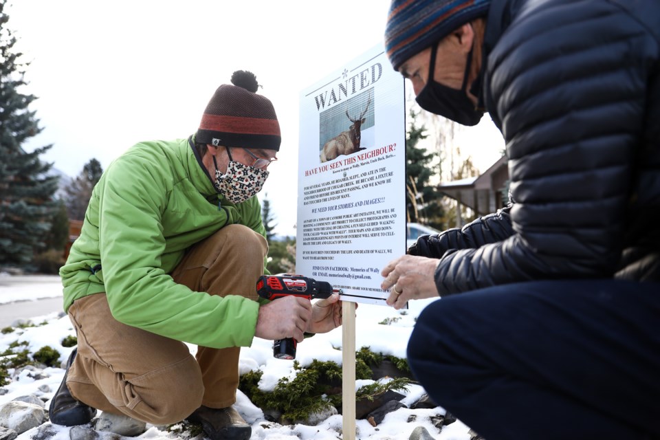 Bruce Millar and Bill Praught install a sign for a community art project Tuesday (Oct. 27) asking residents for images and stories of Wally the elk who passed away this spring for a community art project.  EVAN BUHLER RMO PHOTO