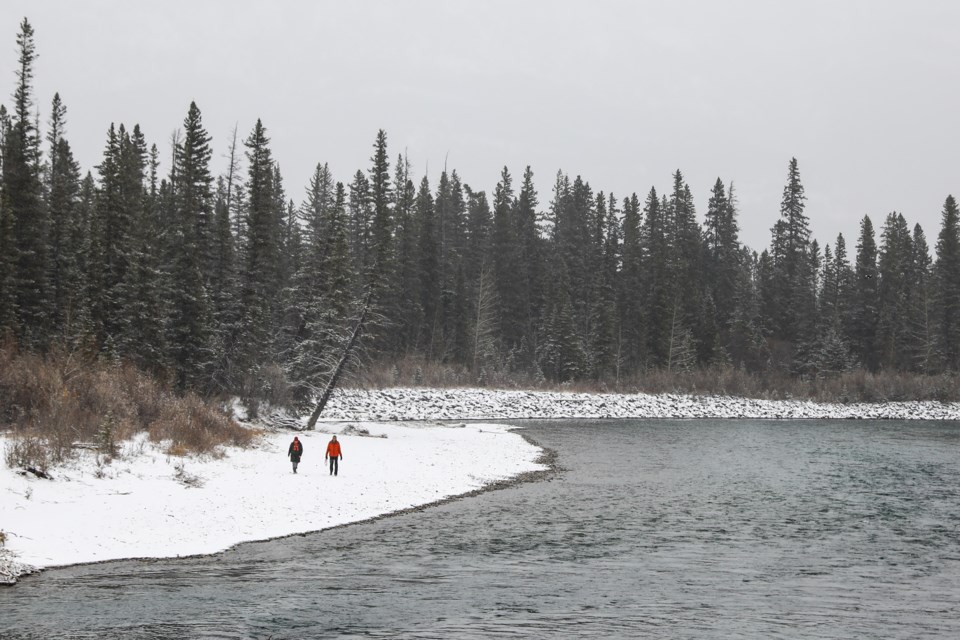 20201110 Bow River 0020