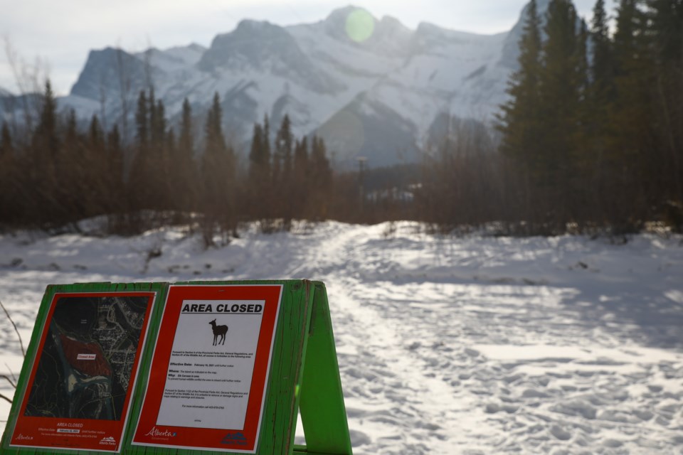 A sign notifies walkers about the area closure for an unnamed island near Canmore after the carcass of an elk was left in the area for wildlife to feed on. The closure was in effect from Tuesday (Feb. 16) until Monday (Feb. 22). EVAN BUHLER RMO PHOTO