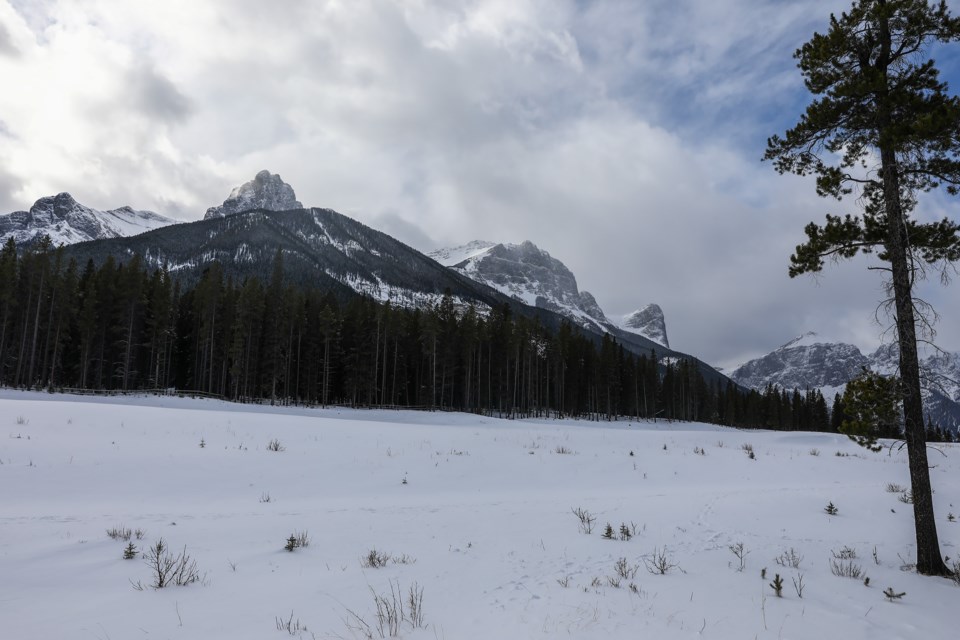 Land behind Hubman Landing for future development at Three Sisters Mountain Village on Tuesday (Feb. 23). EVAN BUHLER RMO PHOTO