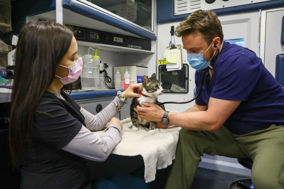20210311 Mobile Vet 0024