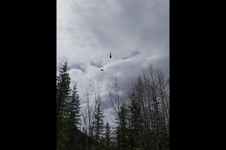 The bear cubs are transported by helicopter to the new location.

Photo by Parks Canada