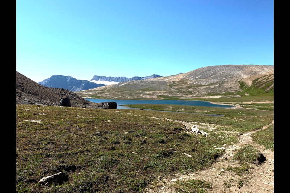 Thousands of non-native trout have been poisoned and killed in a remote lake in Banff National Park to protect a threatened native fish species and its habitat after Parks Canada pumped rotenone into Katherine Lake.

Photo courtesy of Parks Canada