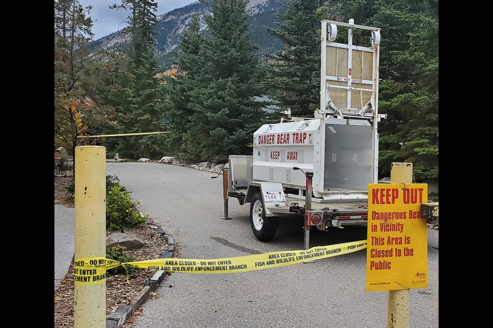 A bear trap is set-up in the north of Canmore after there had been multiple bear sightings in town.

GREG COLGAN RMO PHOTO