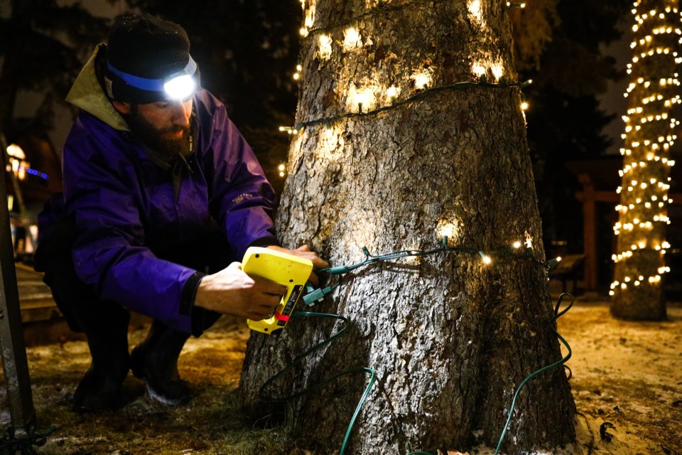Andy Sutherland secures a strand of Christmas lights to a tree trunk in Friendship Park in Canmore on Tuesday (Nov. 23). EVAN BUHLER RMO PHOTO