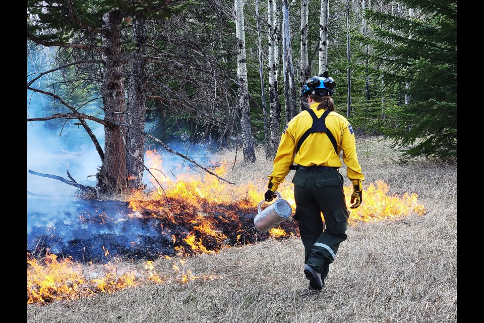 Parks Canada has a series of prescribed fires on the books this year, including a large burn across a 4,460 hectare area on the Fairholme bench between the Johnson Lake area and the national park's east gate down to the Trans-Canada Highway.

PHOTO COURTESY OF PARKS CANADA