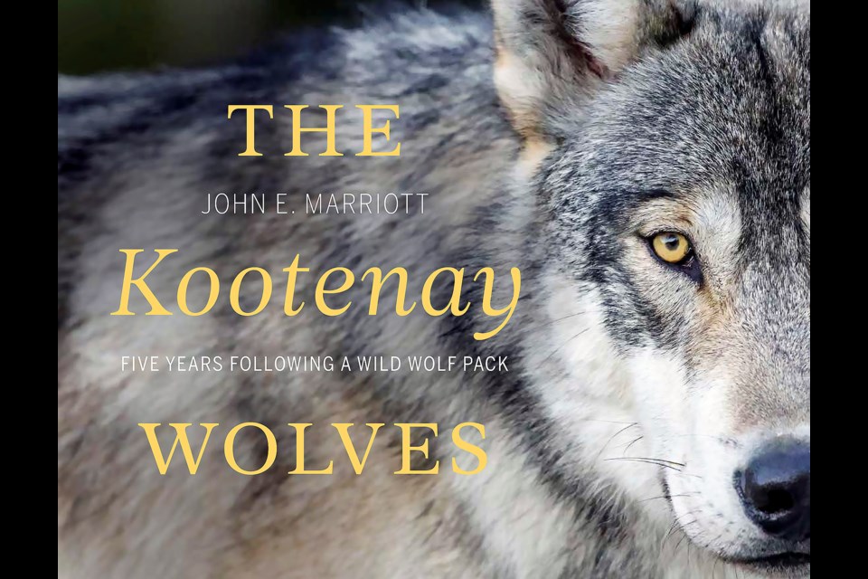 Well known photographer and Canmore resident John Marriott released his latest book "The Kootenay Wolves: Five Years Following a Wild Wolf Pack".

SUBMITTED PHOTO