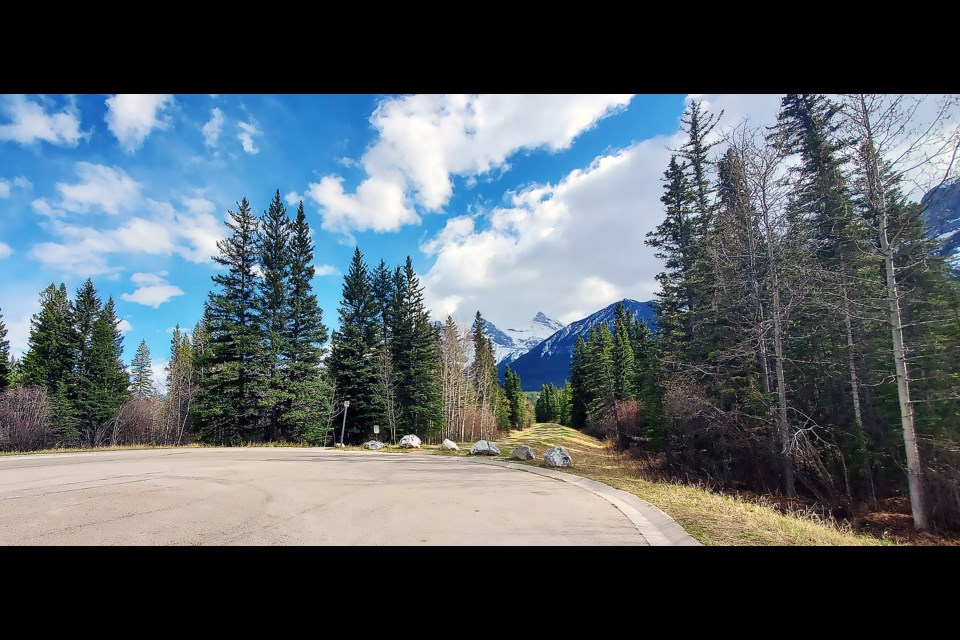 A look at the South Canmore lands that are proposed for development as 800 3rd Ave. The lands are outside the Town's growth boundary and are identified as a habitat patch.

GREG COLGAN RMO PHOTO