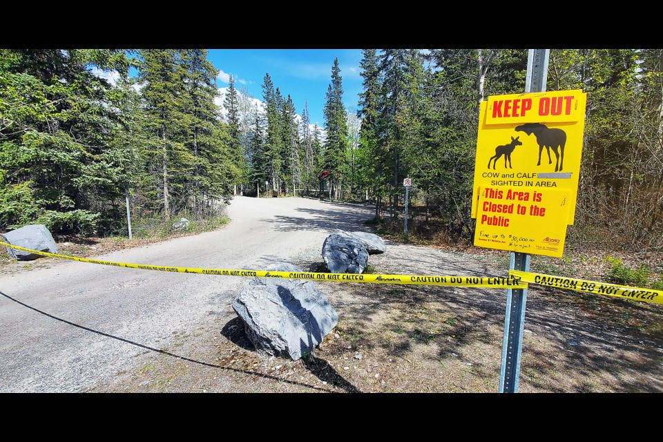 Caution tape and a warning sign tells people to stay outside an area near the public boat launch by Rundle Drive due to elk calving.

GREG COLGAN RMO PHOTO