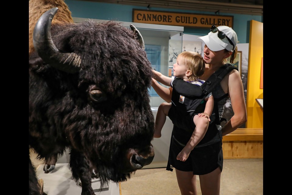 One-year-old Boden Sanderson touches the bison model as his mom Annalise Sanderson watches on during the Canmore Museum open house on Sunday (July 24) as part of the Canmore Museum Festival. JUNGMIN HAM RMO PHOTO