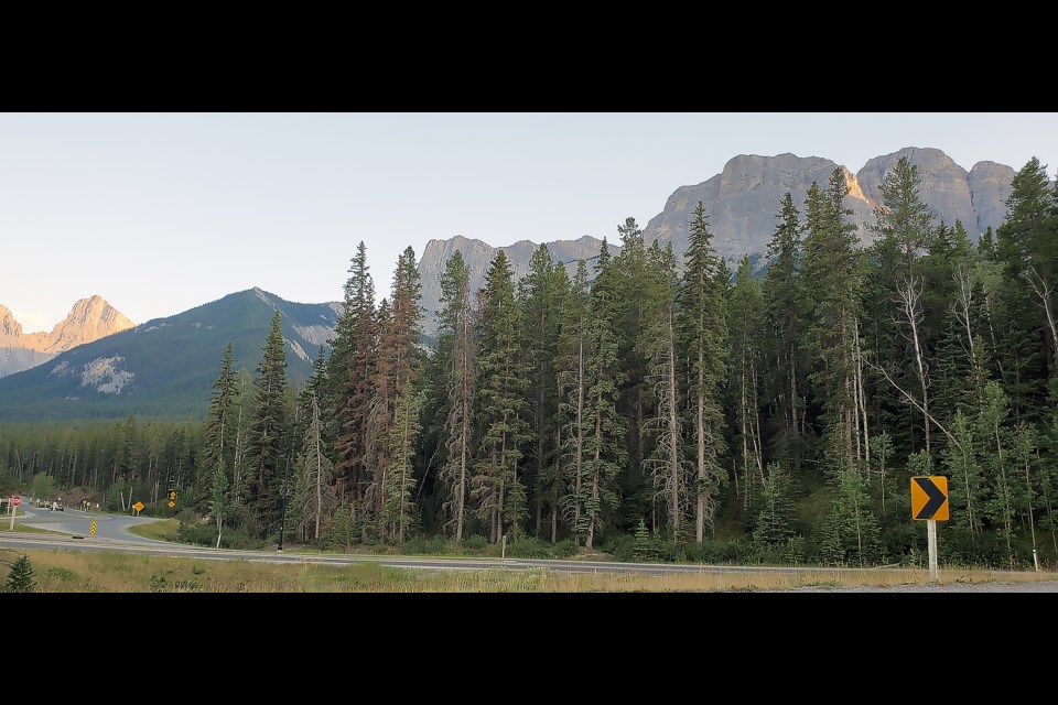 The Court of Queen's Bench in Calgary has ordered the Town of Canmore to purchase an area of land or redesignate its use for Three Sisters Mountain Village Properties Limited (TSMVPL). The lands, known as the staircase, have a small section called the upper triangular area that are seen here.

GREG COLGAN RMO PHOTO