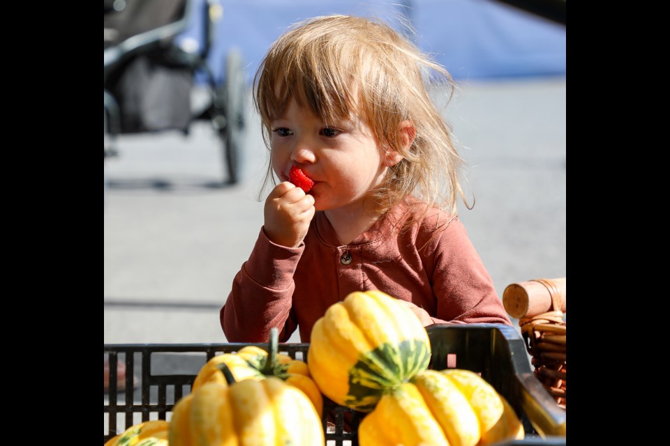 Two-year-old River Reid eats strawberries at the Canmore Mountain Market on Thursday (Sept. 22). JUNGMIN HAM RMO PHOTO