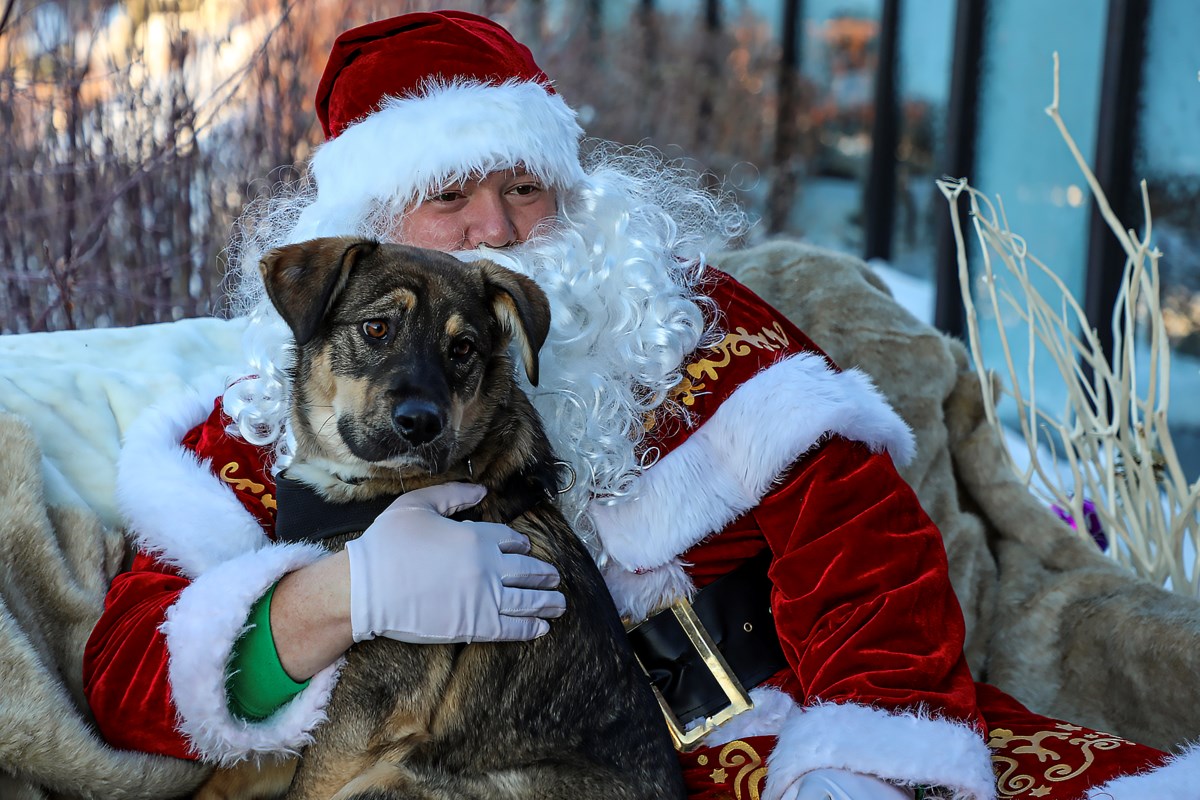 Pet Pics with Santa Paws supports the Cambridge humane society