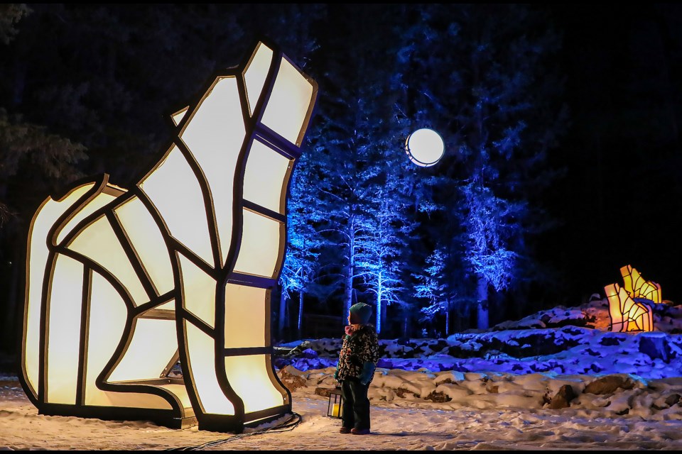 Five-year-old Kinsley Erickson looks at the illuminated sculptures at the In Search of Christmas Spirit at the Cascade of Time Garden in Banff on Nov. 24. JUNGMIN HAM RMO PHOTO