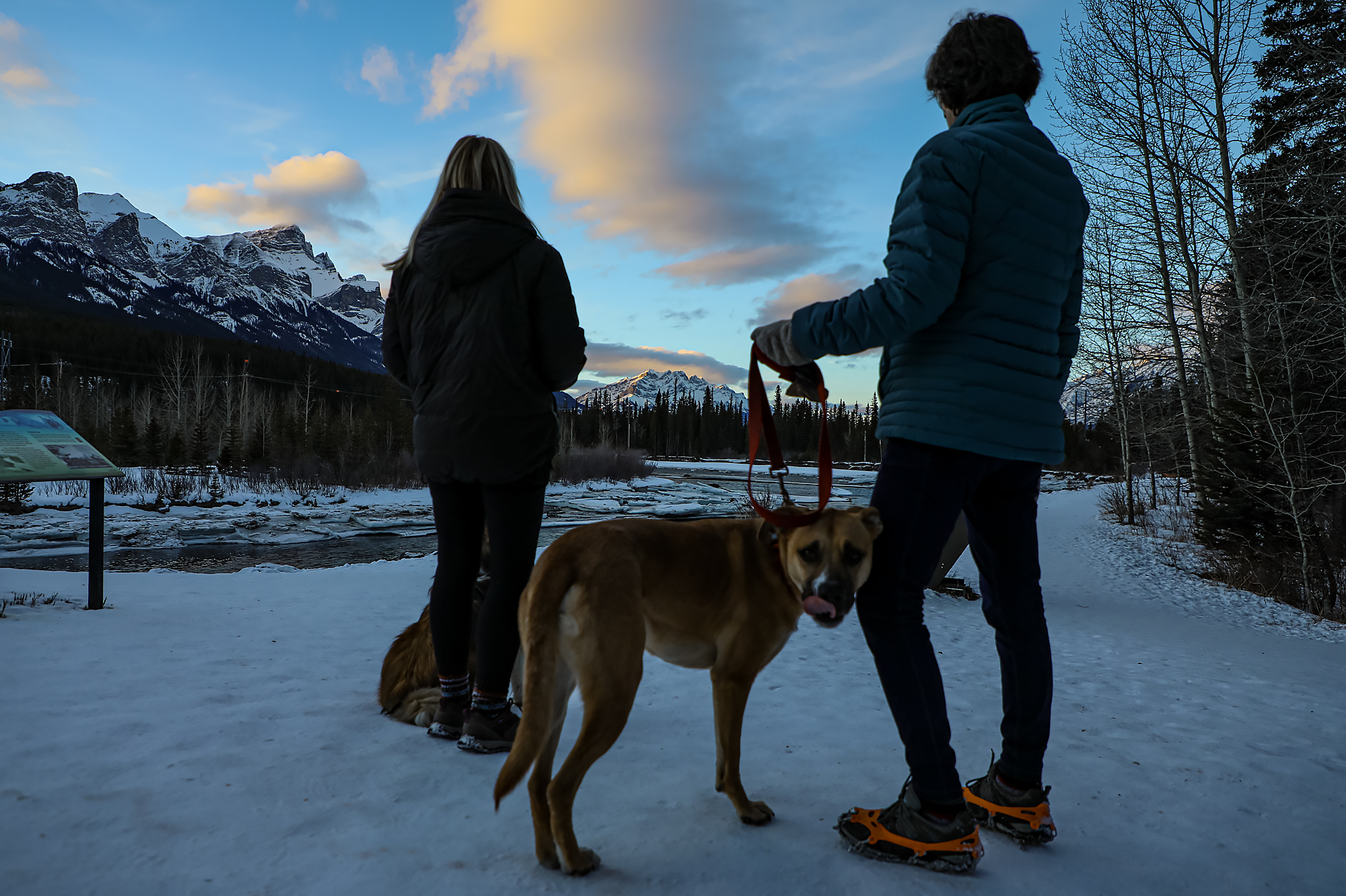 Canmore caps off-leash dogs at Quarry Lake, increases fines for off-leash dogs - Rocky Mountain News
