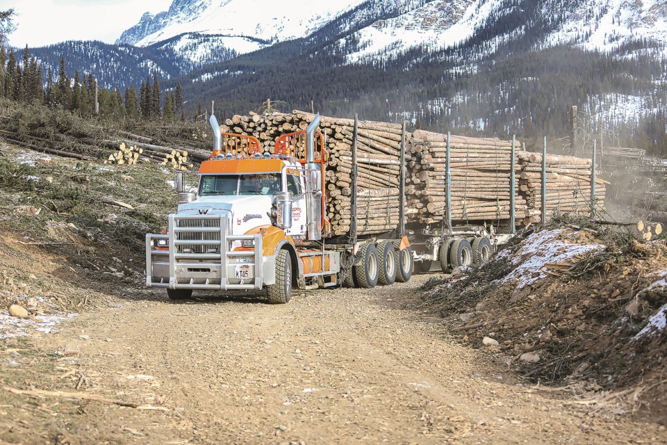 A logging truck hauls trees on Jan. 31 that have been felled and removed from the landscape at Protection Mountain as part of a fireguard to protect Banff and Lake Louise. JUNGMIN HAM RMO PHOTO 
