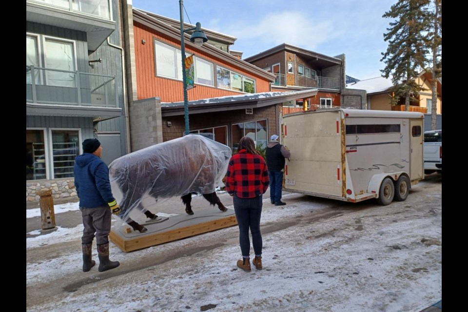 Bud the bison was picked up from the Canmore Museum via horse trailer and brought to his new home at the Chiniki Cultural Centre off Highway 1 in Îyârhe (Stoney) Nakoda First Nation.

SUBMITTED PHOTO