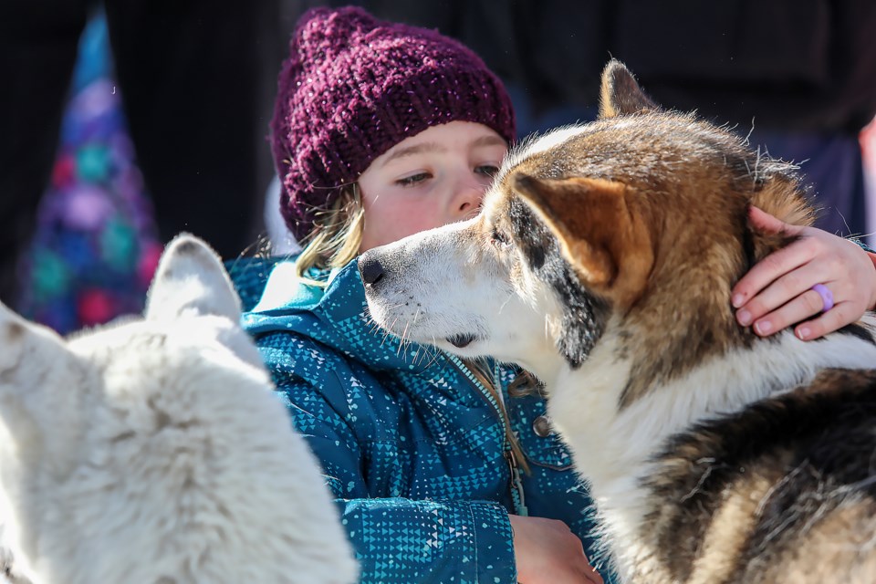 Stella Casey, 7, delights while hugging a dog at the Canmore Winter Carnival on Sunday (Feb. 26). JUNGMIN HAM RMO PHOTO 