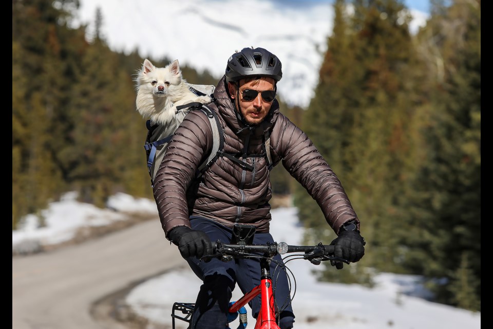 Regan Tessier from Saskatchewan ride a bike with his four-year-old dog, Bluff, on his back on Lake Minnewanka Scenic Drive in Banff National Park on Thursday (April 6). JUNGMIN HAM RMO PHOTO