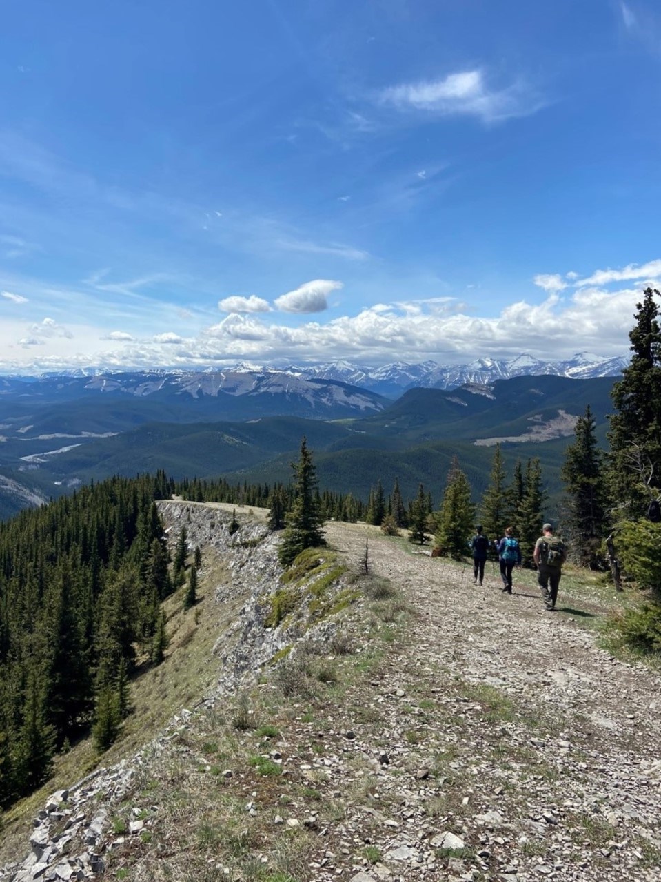 prairie-mountain-trail-kananaskis-pluz