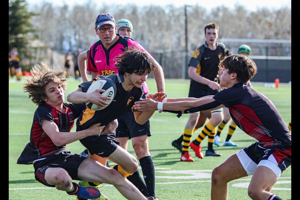 Banff Bear Sam Ellis fights off two Rundle Cobras during rugby action at Rundle College in Calgary on Thursday (April 27). The Cobras beat the Bears 47-38. JUNGMIN HAM RMO PHOTO