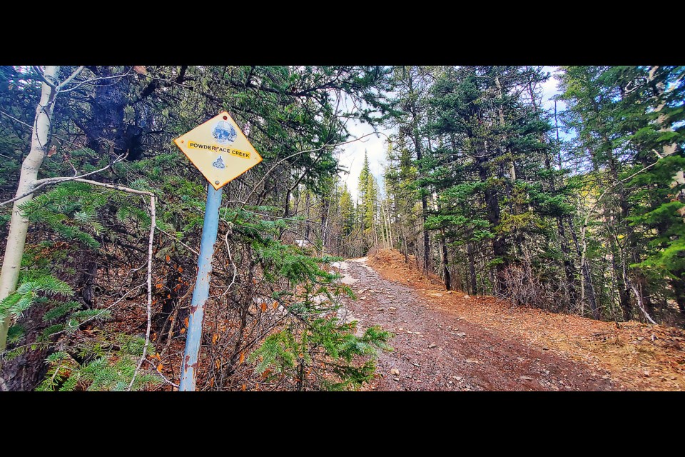 The start of the Powderface Creek trail in the Kananaskis Country Public Land Use Zone. 
GREG COLGAN RMO PHOTO