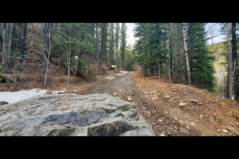The start of the Powderface Creek trail in Kananaskis Country Public Land Use Zone. 

RMO FILE PHOTO