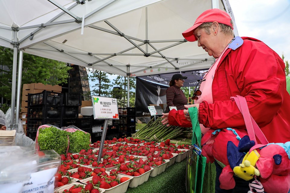 Canmore resident Pat Chapman gets strawberries at the Canmore Mountain Market at Elevation Place on Thursday (May 25). JUNGMIN HAM RMO PHOTO