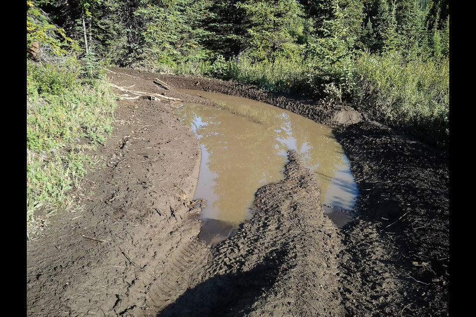 Deep ruts caused by OHV use in the Bighorn Backcountry. PHOTO COURTESY AWA