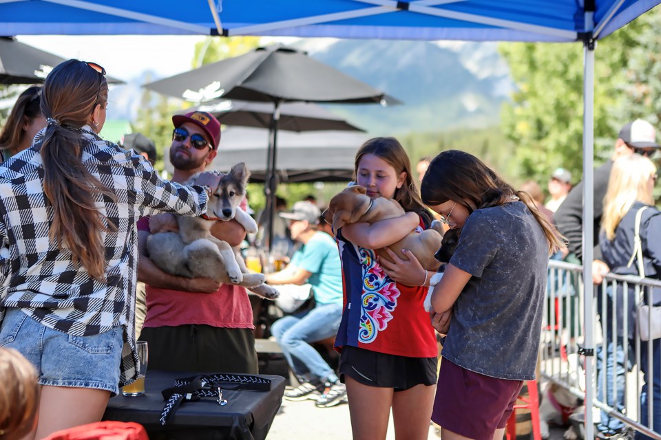 Heart Mountain Rescue hosted the first fundraiser and silent auction at Sheepdog Brewing in Canmore on Saturday (Aug.12). JUNGMIN HAM RMO PHOTO