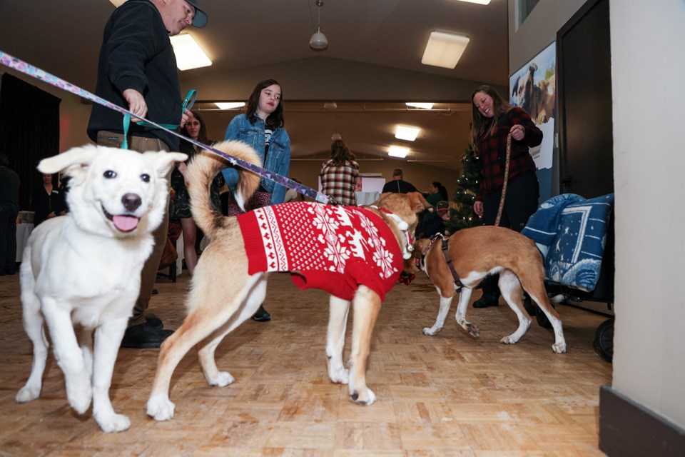 Heart Mountain Rescue, a volunteer run dog rescue, held its first anniversary bash at the Canmore Miners' Union Hall on Friday (Dec. 15). JUNGMIN HAM RMO PHOTO  