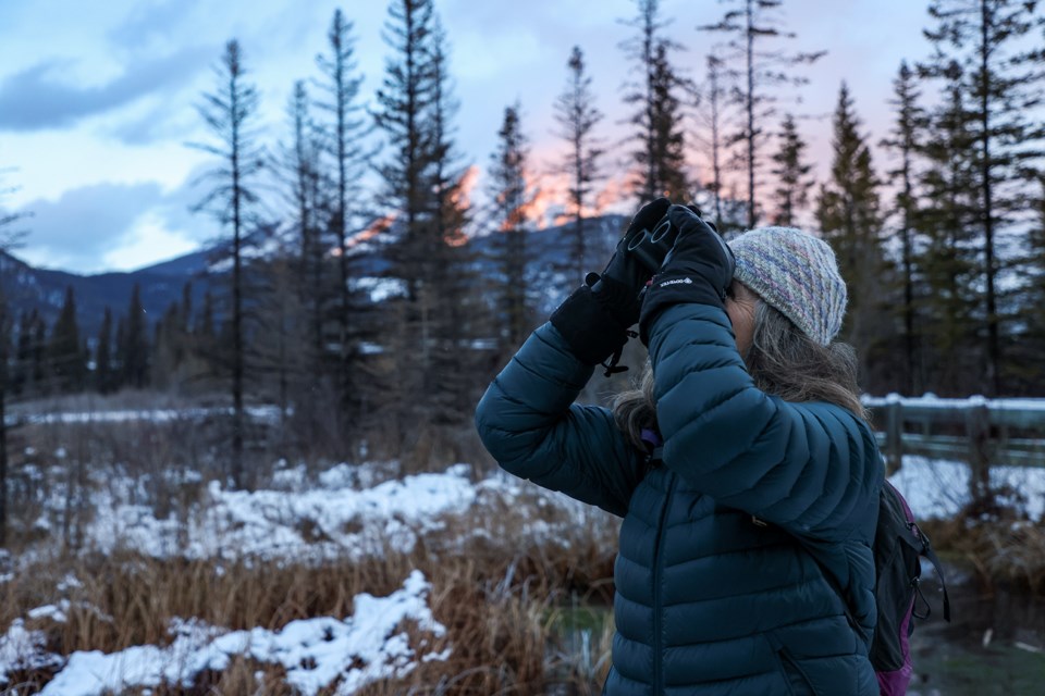Heather Dempsey, coordinator for the Banff bird count, watches birds during the 2023 Bow Valley Christmas Bird Count at the Cave and Basin marsh in Banff National Park on Saturday (Dec. 16). JUNGMIN HAM RMO PHOTO  