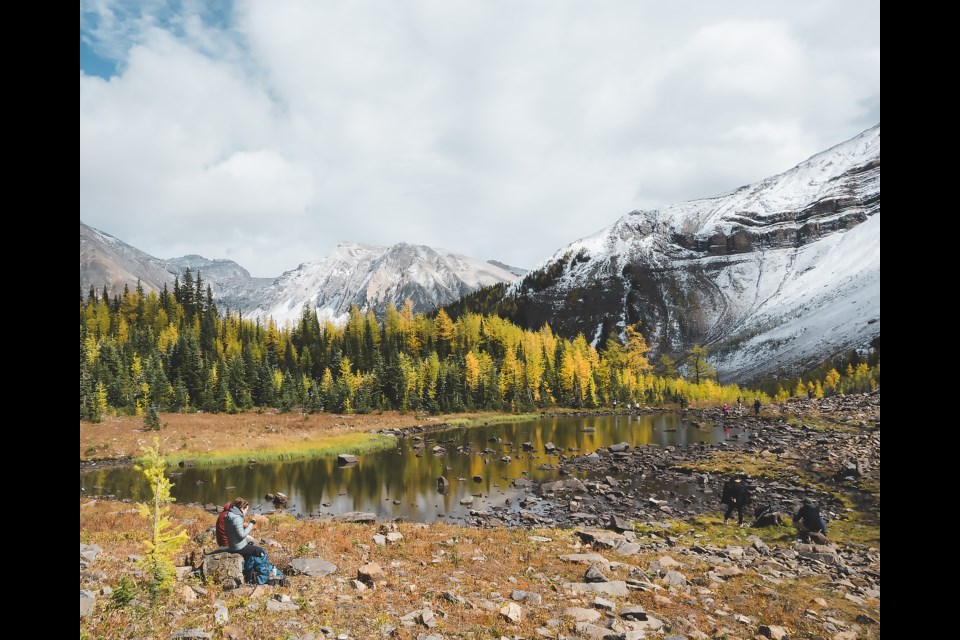 The view on the way back from Pocaterra Ridge during larch season in Kananaskis Country in September 2021. 

MATTHEW THOMPSON RMO FILE PHOTO
