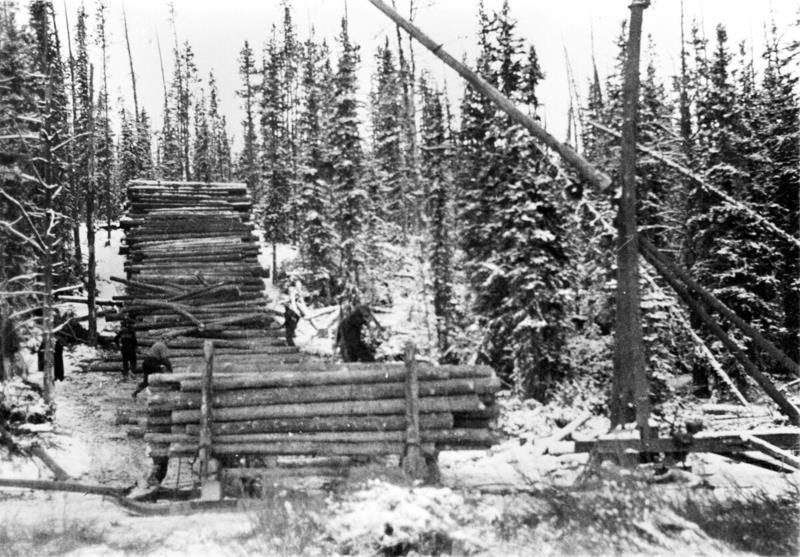 Preparing logs piled up for a river drive to Calgary, Ghost River area, Alberta. Eau Claire and Bow River Lumber Company.

Photo Courtesy of Glenbow Library and Archives Collection, Libraries and Cultural Resources Digital Collections, University of Calgary.