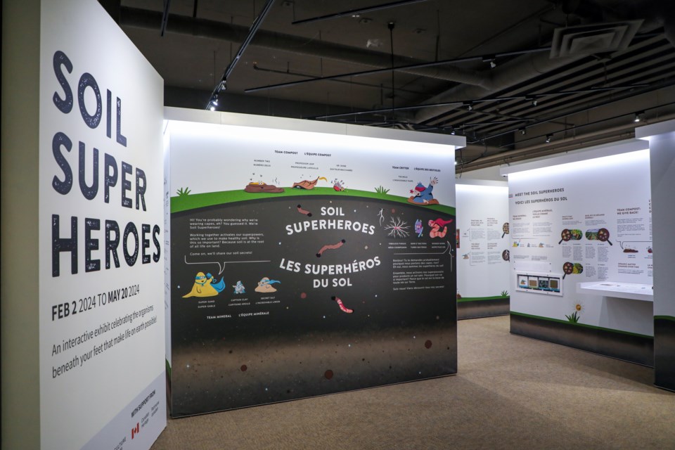 Canmore Museum's new exhibit “Soil Superheroes” developed by the Canada Agriculture and Food Museum had its opening bash on Saturday (Feb. 3). The exhibition will be running at the Canmore Museum until May 20, 2024. JUNGMIN HAM RMO PHOTO