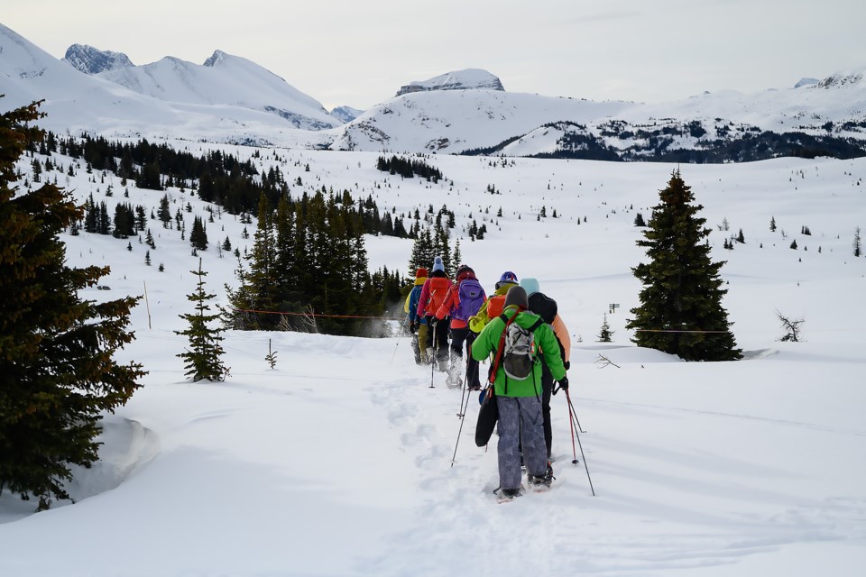 Kim Asmussen and his volunteers trek to an out-of-bounds area near Banff's Sunshine Village Ski Resort to finish a giant art piece made by snowshoeing on Thursday (April 11). MATTHEW THOMPSON RMO PHOTO