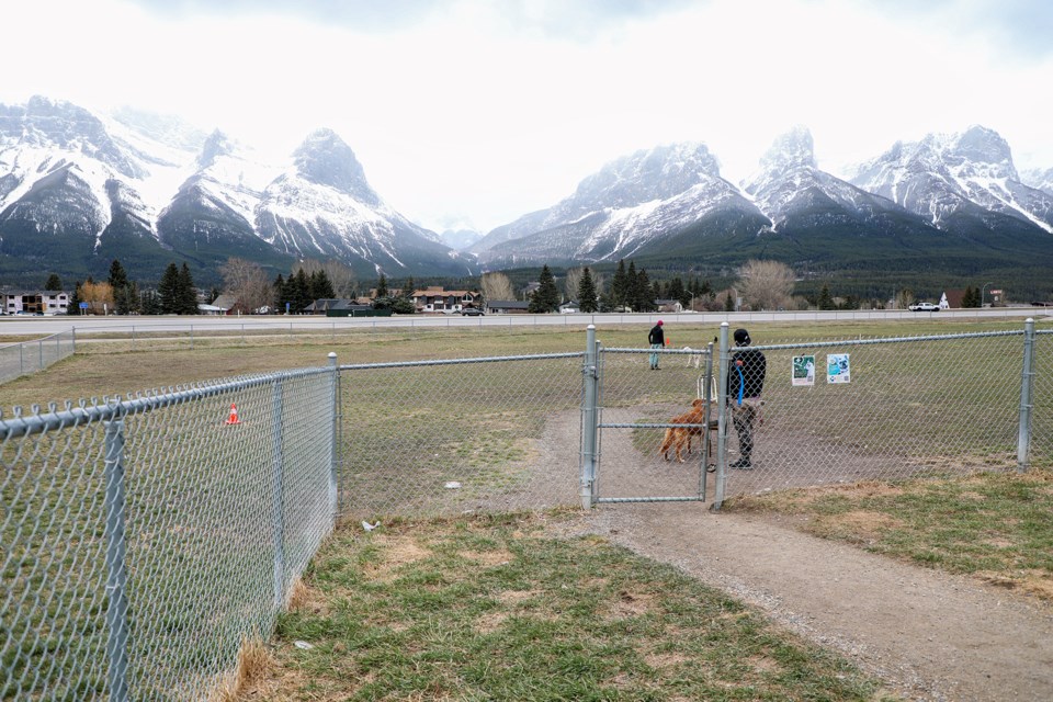 Off leash dog park at Palliser in Canmore on Tuesday (May 7). JUNGMIN HAM RMO PHOTO