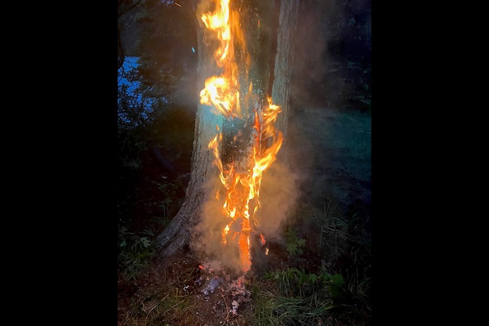 Lake Louise RCMP are investigating a tree fire they believe was deliberately set on fire in the townsite Thursday (June 27).

SUBMITTED PHOTO