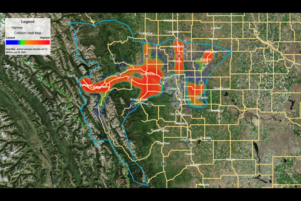 A heat map from the province's Alberta Wildlife Watch website shows large-bodied animal carcass records collected by highway management contractors and government bodies in 2024.

SCREENSHOT