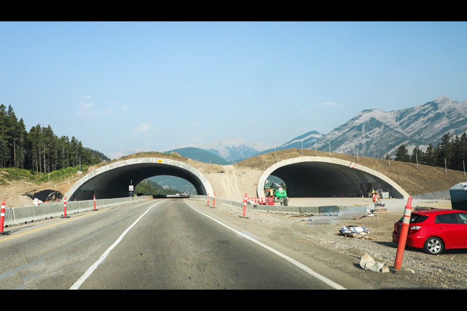 The Bow Valley Gap wildlife overpass under construction along the Trans-Canada Highway on Tuesday (July 23). JUNGMIN HAM RMO PHOTO
