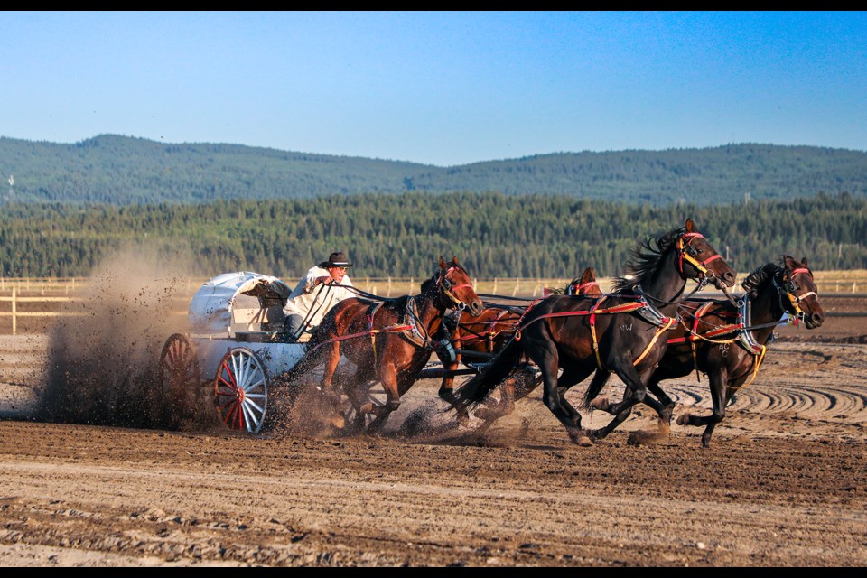 John Wildcat gallops off the track during the chuckwagon races at the third Mînî Thnî Indian Relay Race at the Wapta Ipa Aktakiyebi Chagu (Goodstoney) race track on Friday (Aug. 22).  JUNGMIN HAM RMO PHOTO