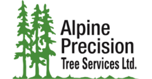 Alpine Precision