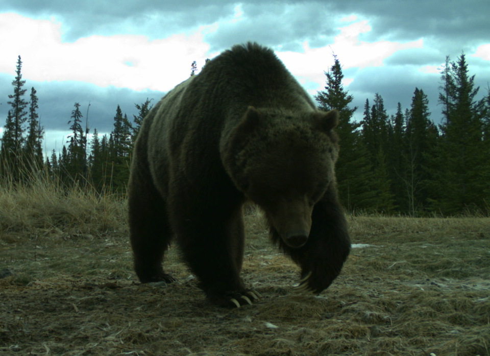 04072025-gb122-parkscanada_1