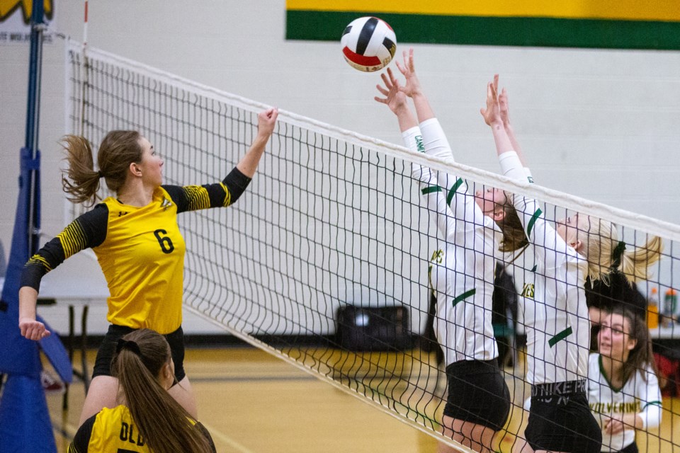 Tia McCartney, middle, and Lindsay Nunn, right, of the Wolverines senior girls volleyball team block a tip by the Olds middle during the team's home tournament at Canmore Collegiate High School on Friday (Oct. 25). Evan Buhler RMO PHOTO