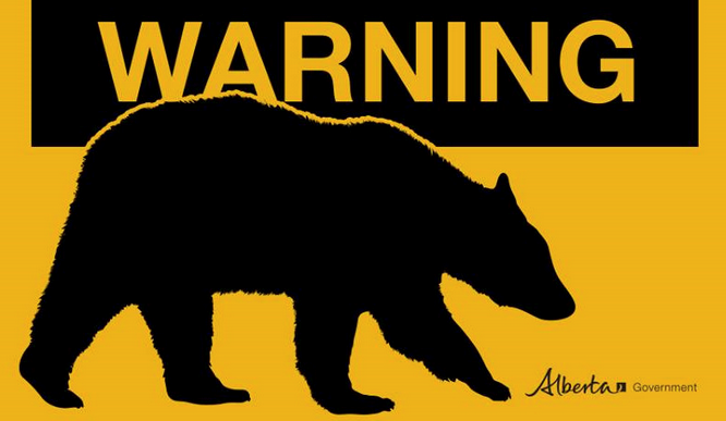 bear-warning