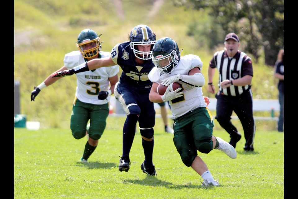 Canmore running back Dylan Hurley tries to out run a prowling Bobcat in an exhibition game against Cochrane's Bow Valley High School on Saturday (Aug. 26) at Millennium Field in Canmore. JORDAN SMALL RMO PHOTO