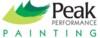 Peak Performance Painting - Canmore