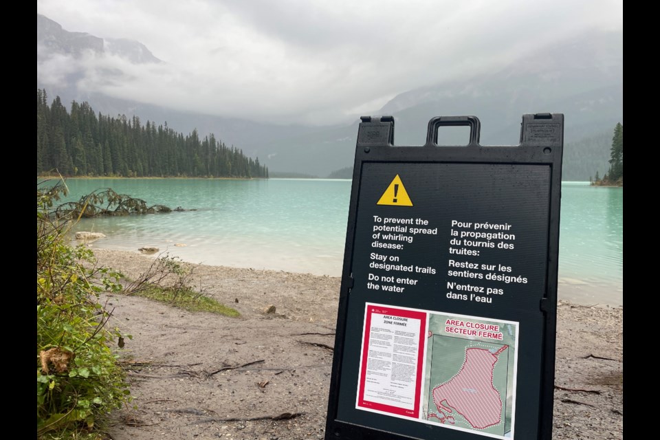 Emerald Lake in Yoho National Park was closed in September after whirling disease was detected – the first case found in British Columbia. HANDOUT