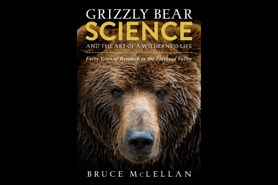 Grizzly bear guide: where they live, how they hunt and conservation -  Discover Wildlife