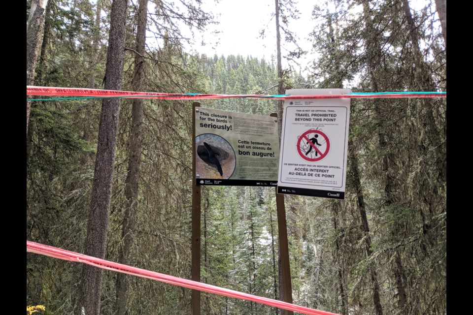 One of the 32 signs posted along the Johnston Canyon trail in Banff National Park warning hikers not to go off the trail. 
JENNA DULEWICH RMO PHOTO